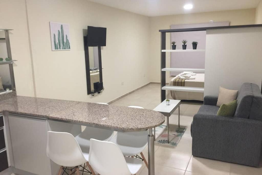 Apartment Monoambiente En